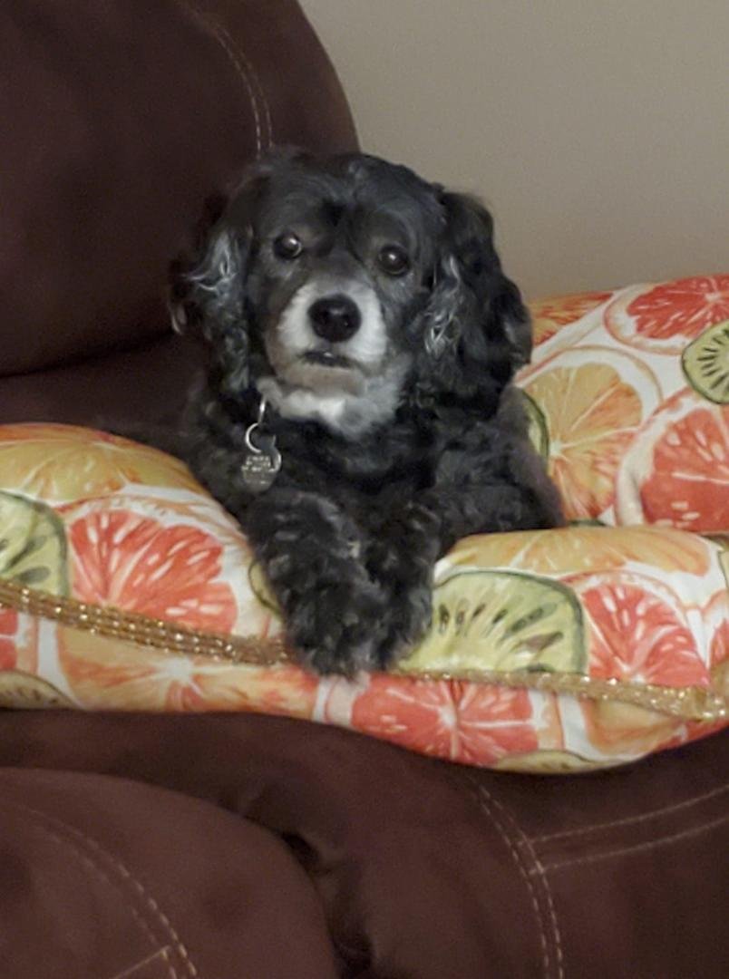 My Molly relaxing!!