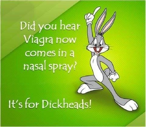 NEIL DONNELLY's album, Timeline Photos