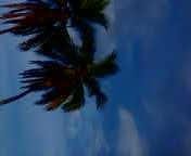 Suzanne Ledoux's album, Mobile Uploads