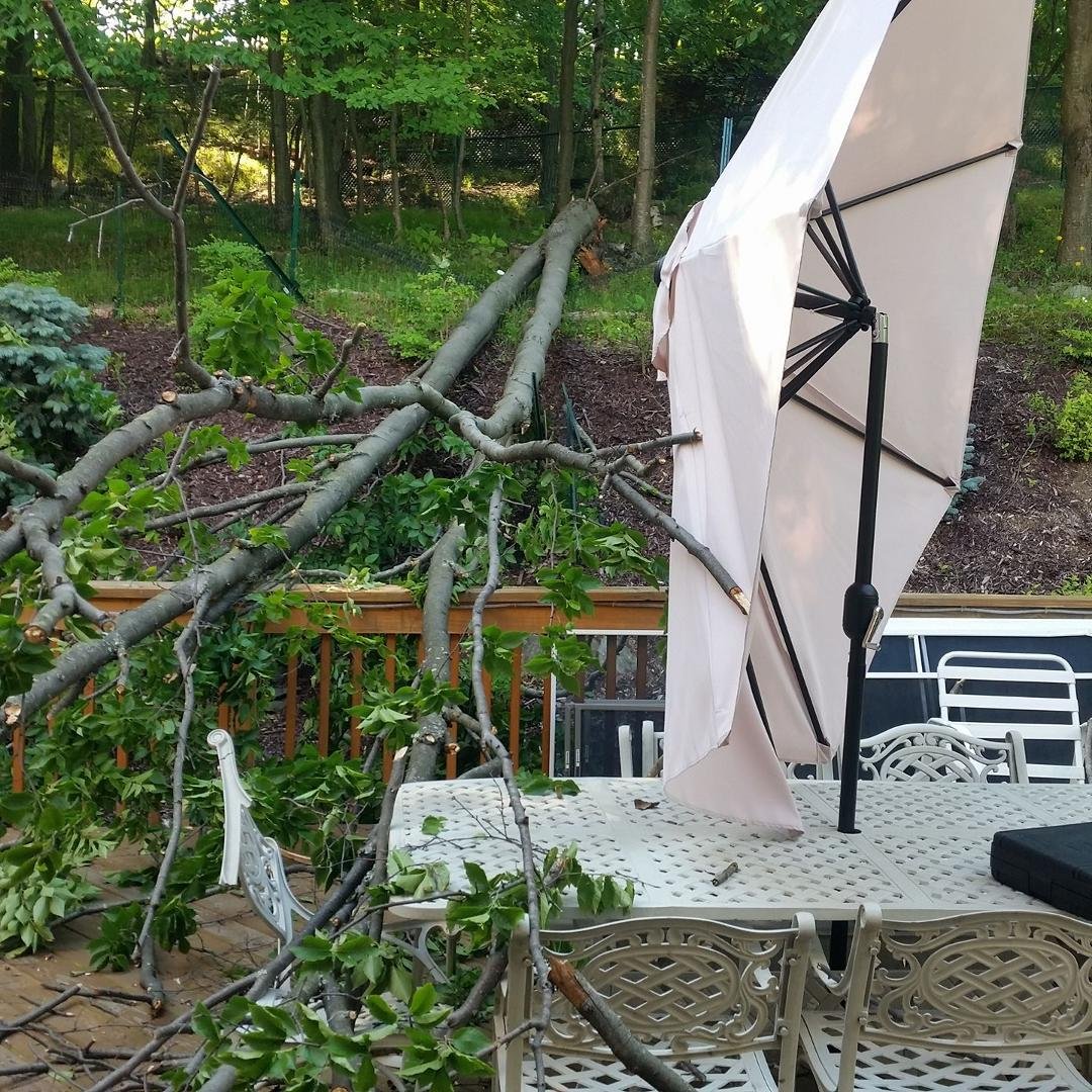 Heard a loud crash last night, woke up both me and Marianne! 😲 This morning we found that a 50 ft tree in our backyard fell on the deck, decimated our umbrella and two of our table chairs. However, it left the deck unsc