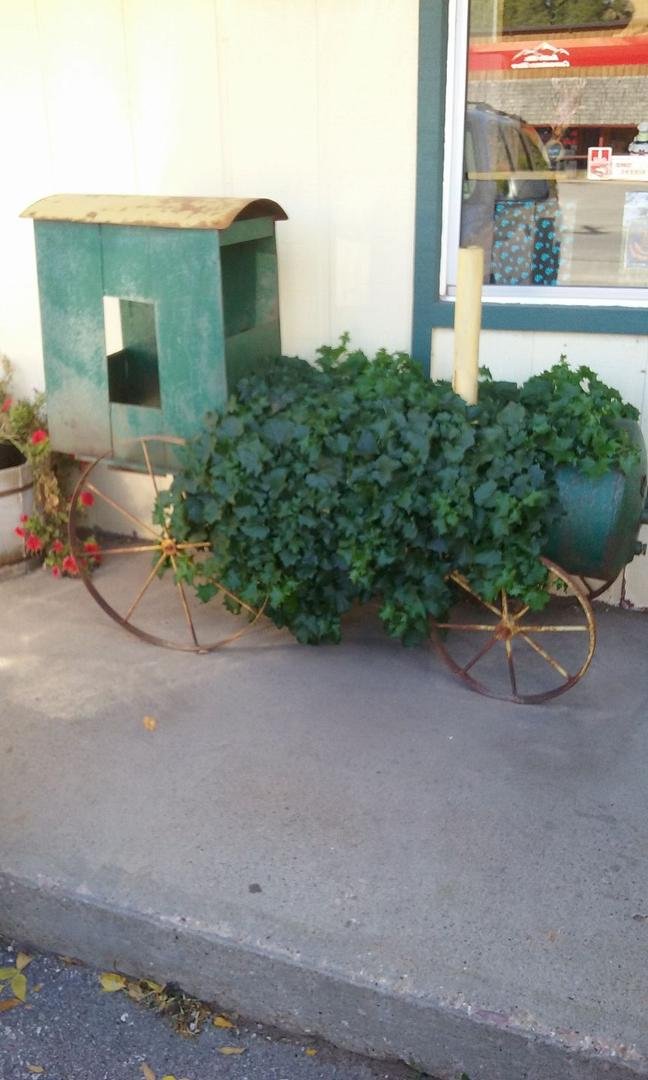 Kris Dulany, I saw this at Dale's restaurant in Hot Springs!  Love the ivy.