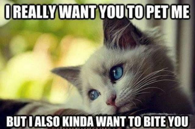 That sounds like George!