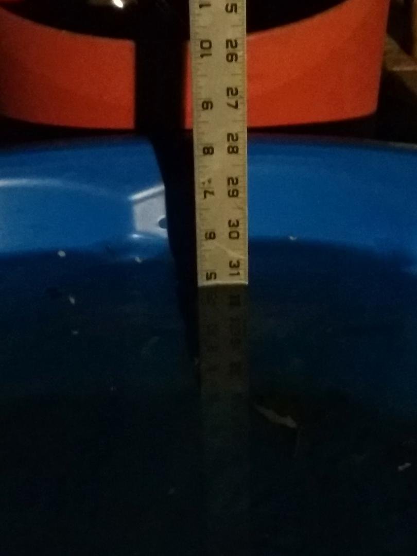 This is all the rain that fell here this week. The pool was bone dry last Sunday night. If it wasn't under cover of a large tree in my back yard I'm sure it would have been over flowing.