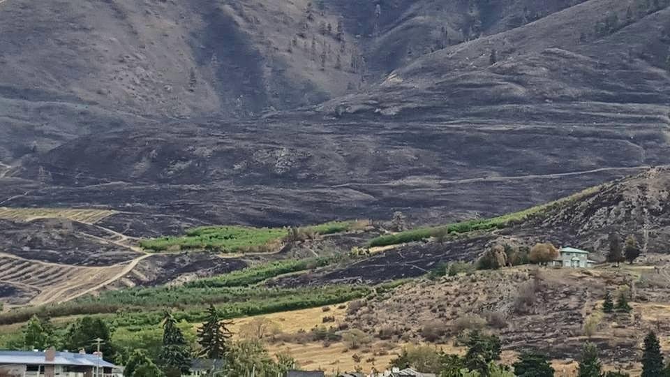 Lake Chelan, Wa. The hills black from the fires