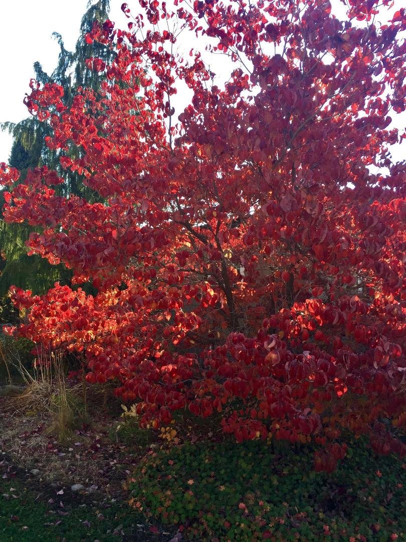 Janet Hanke's album, Timeline Photos