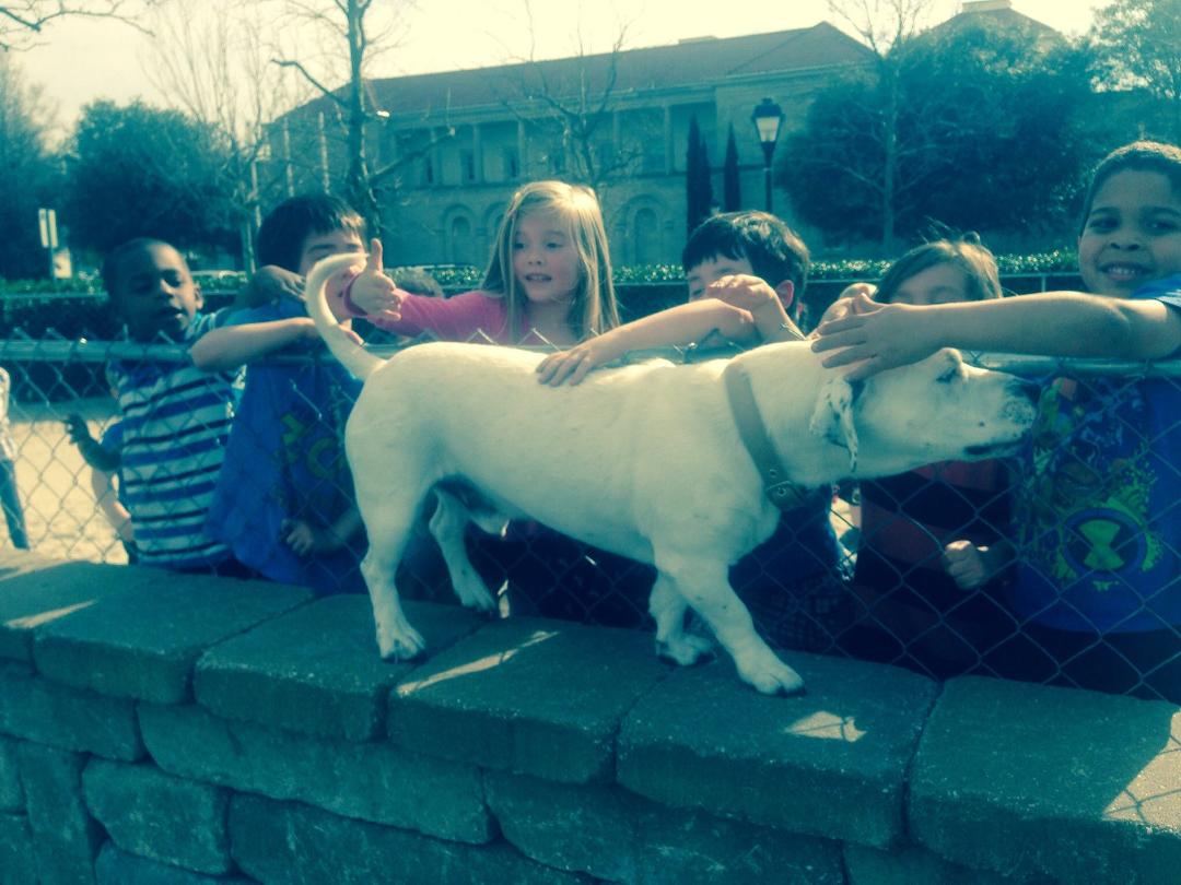 Bosley was like a rock star with the little kids!