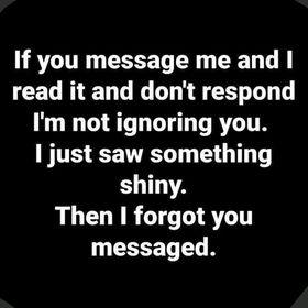 Dan A Scott's album, Timeline photos
