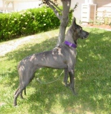 she was still a pup in this pic