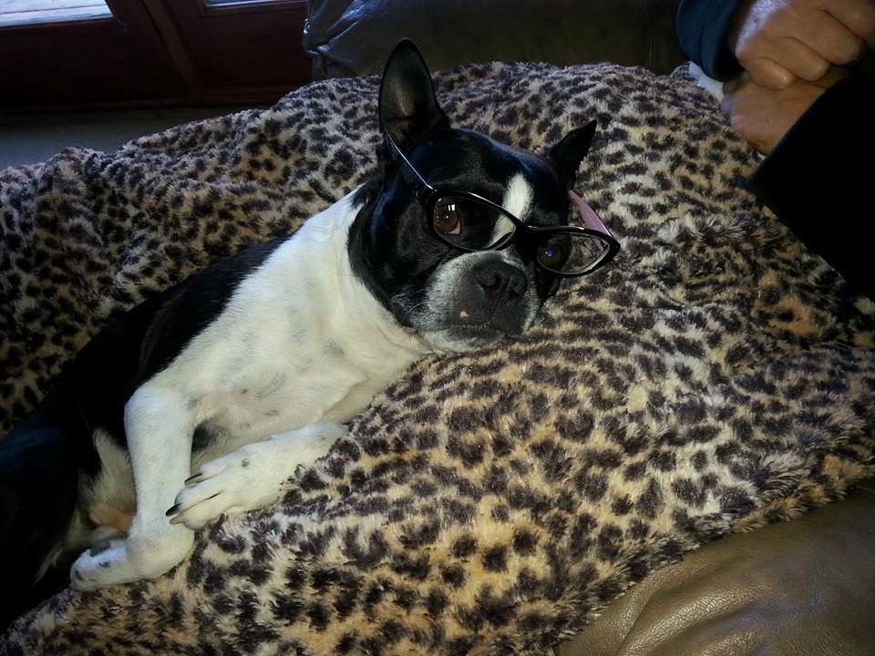 My youngest grandson. Looks like his mommy doesn't he