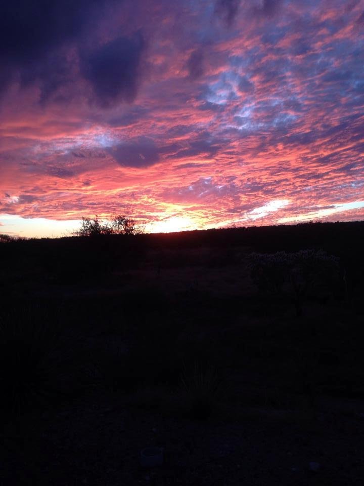 Pretty Tucson sunset driving home from work tonight.
I love Arizona sunsets :)