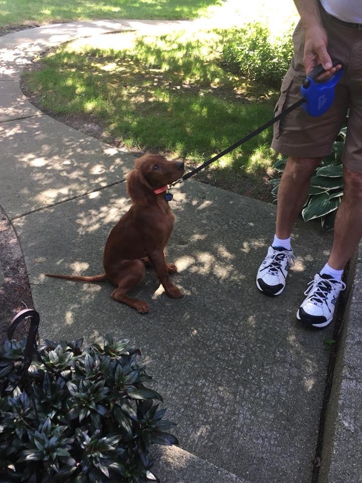 The newest member of our household......Dylan Jameson Rohr