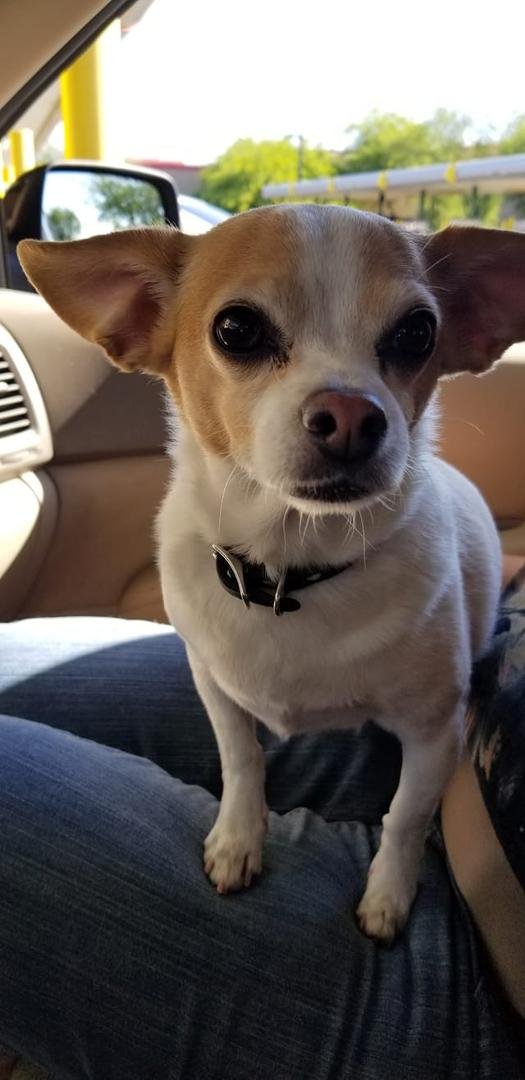 Cotton says good morning everybody.