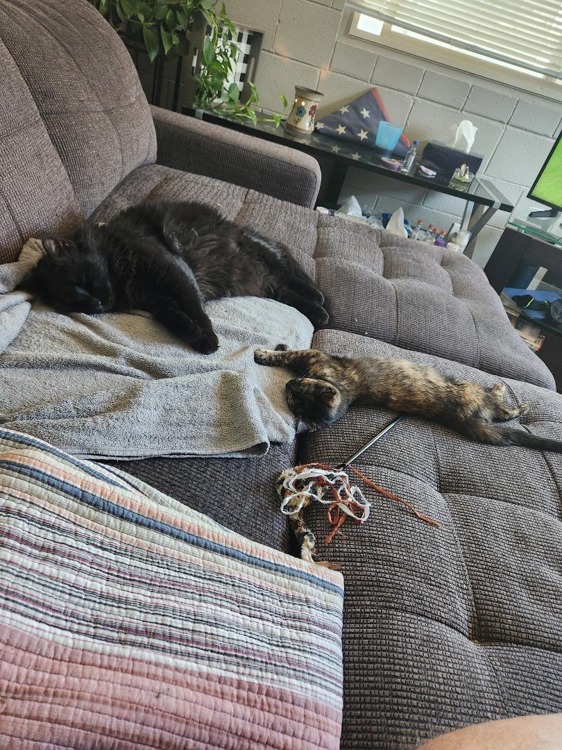 Lazy Sunday mornings!