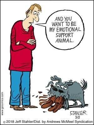 Therapy pet --- therapy pet