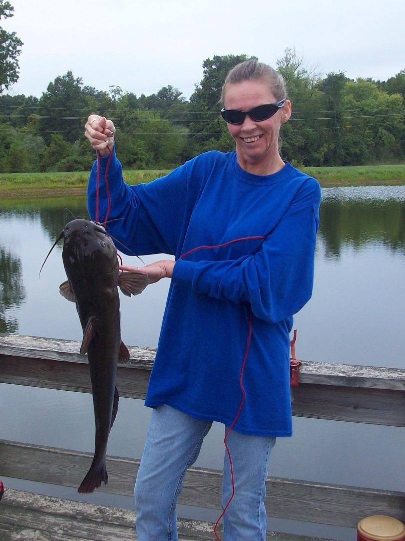 catfish