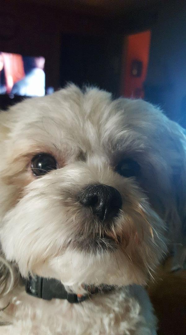 Woody says Happy birthday Bre Whittaker.