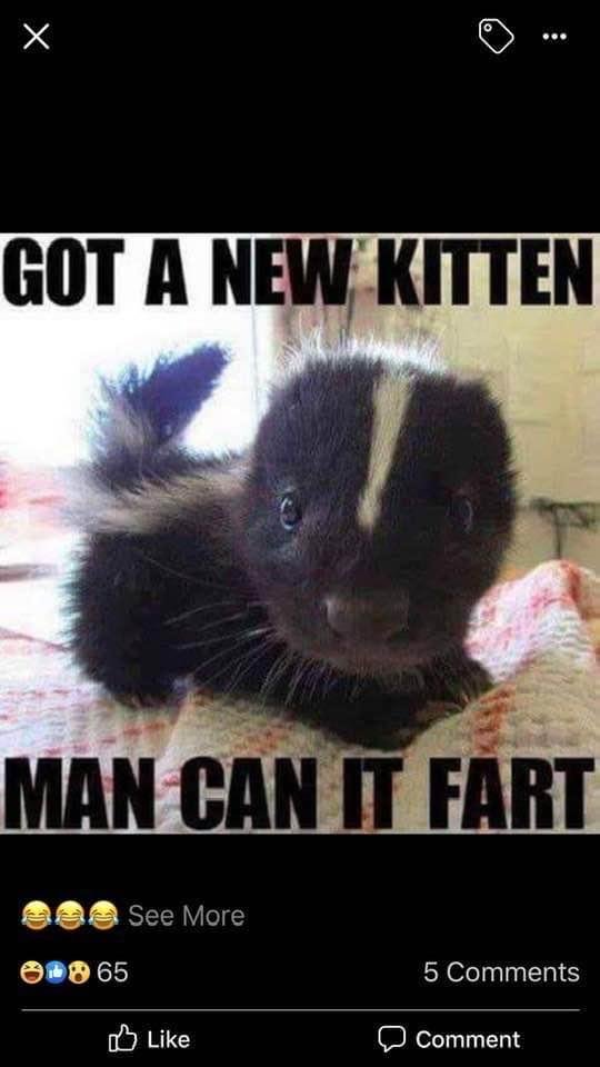Joe Doheny's album, Timeline photos