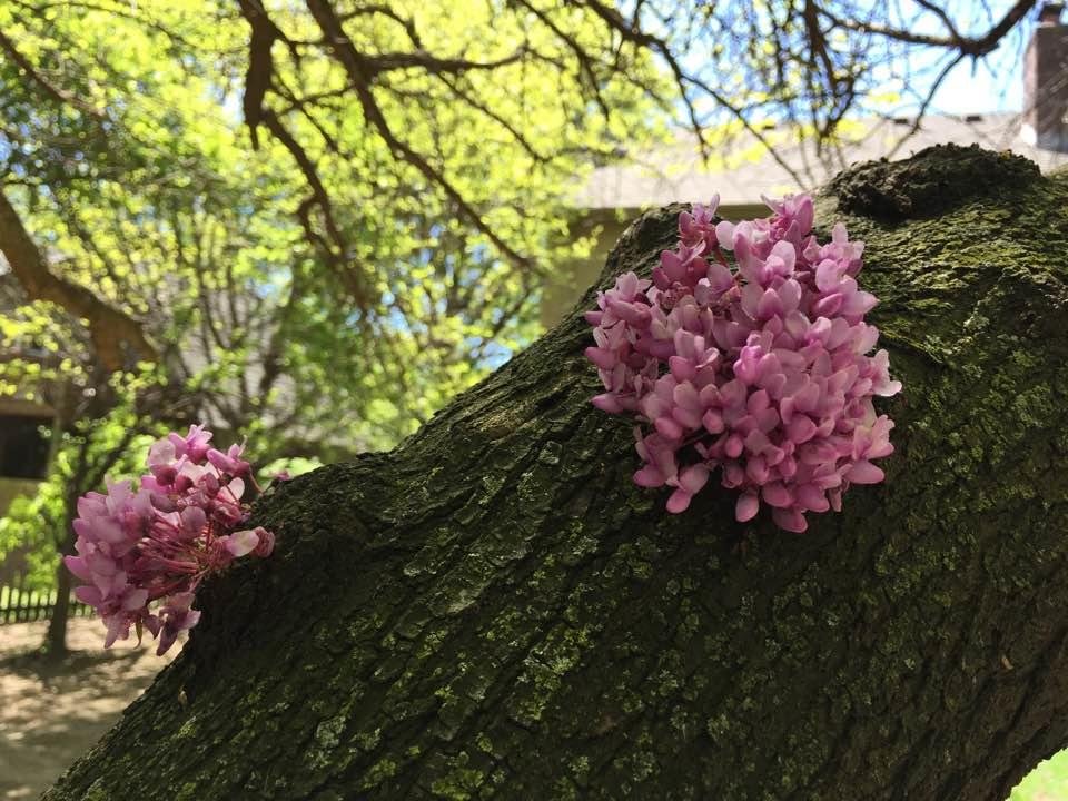 Susan Hall's album, Timeline Photos