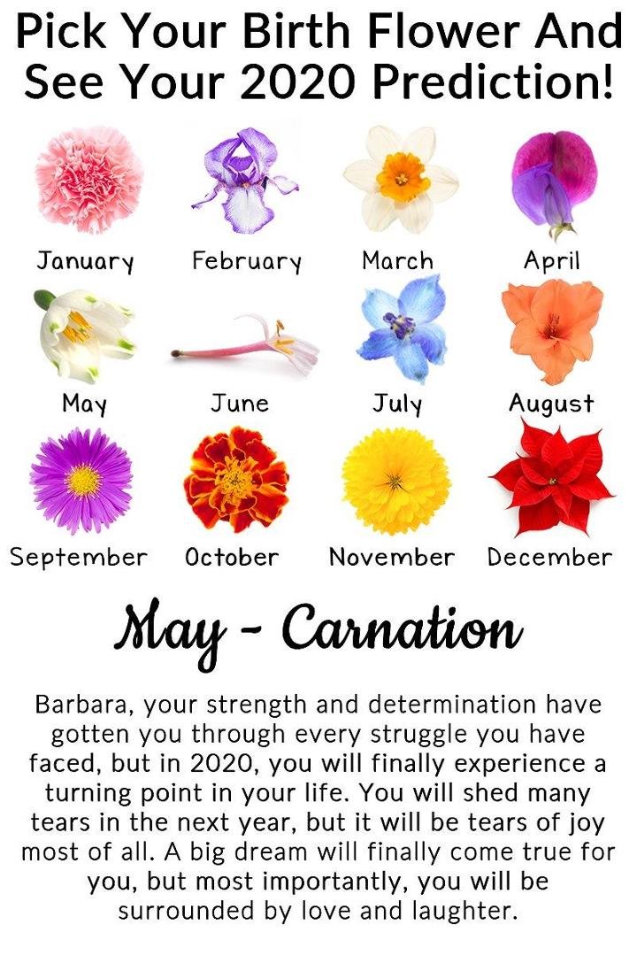 Barbara Ravitz's album, Timeline photos