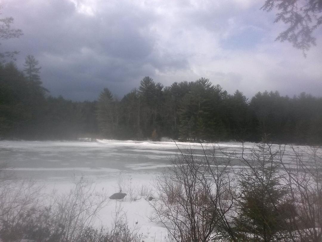 Mark Rubenstein's album, Timeline Photos