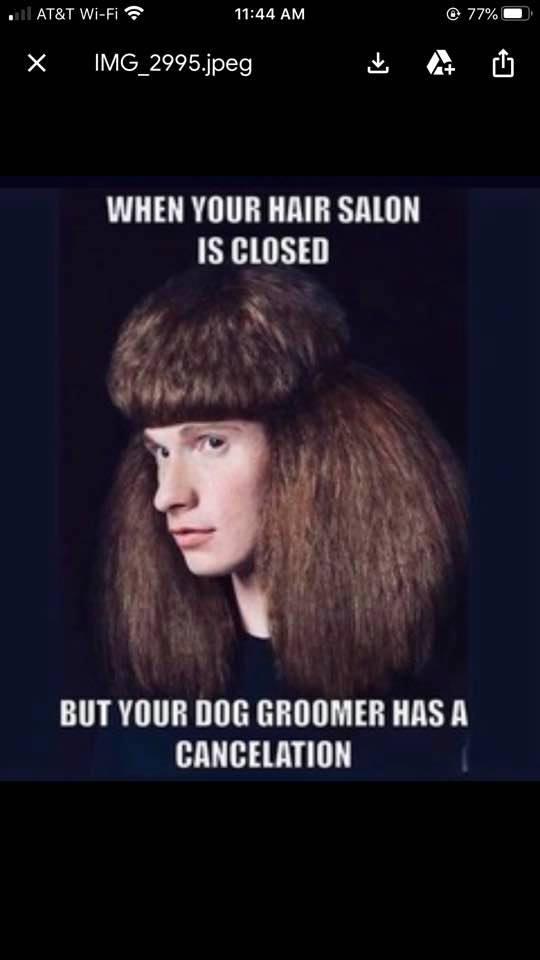 Nancy Jacobson's album, Timeline photos