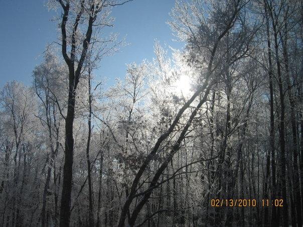 Mary Ratcliff's album, WINTER pics