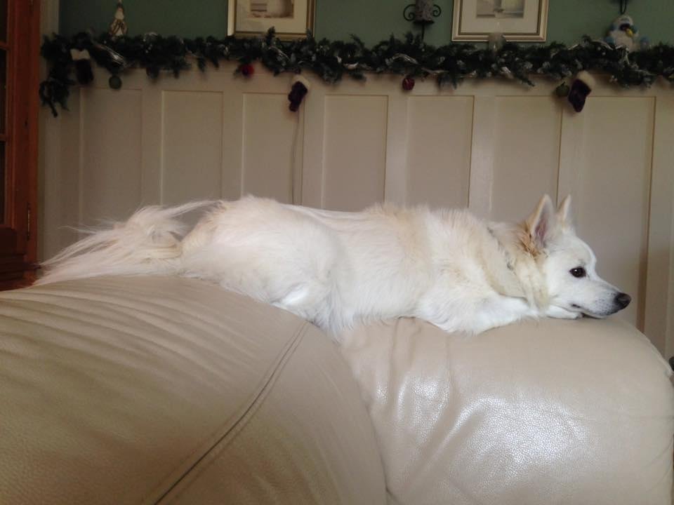 Somebody's tired.