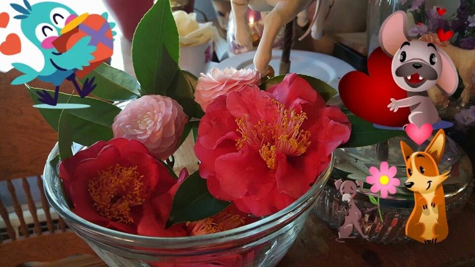 Lil Mikey Sneed Jr. Valentine's day flowers he got for me
