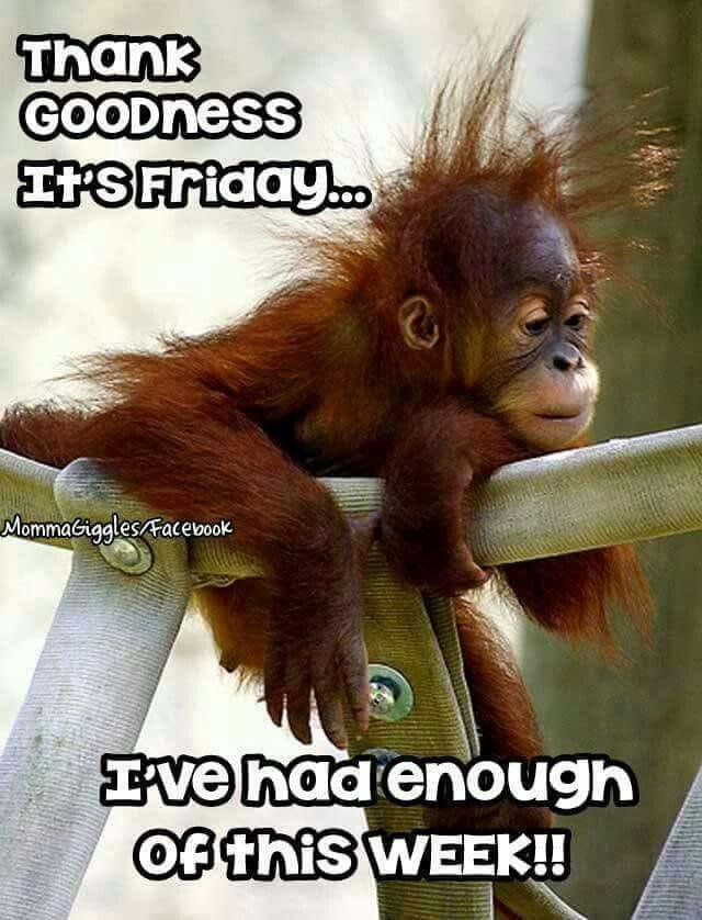 Everyone have a great weekend.