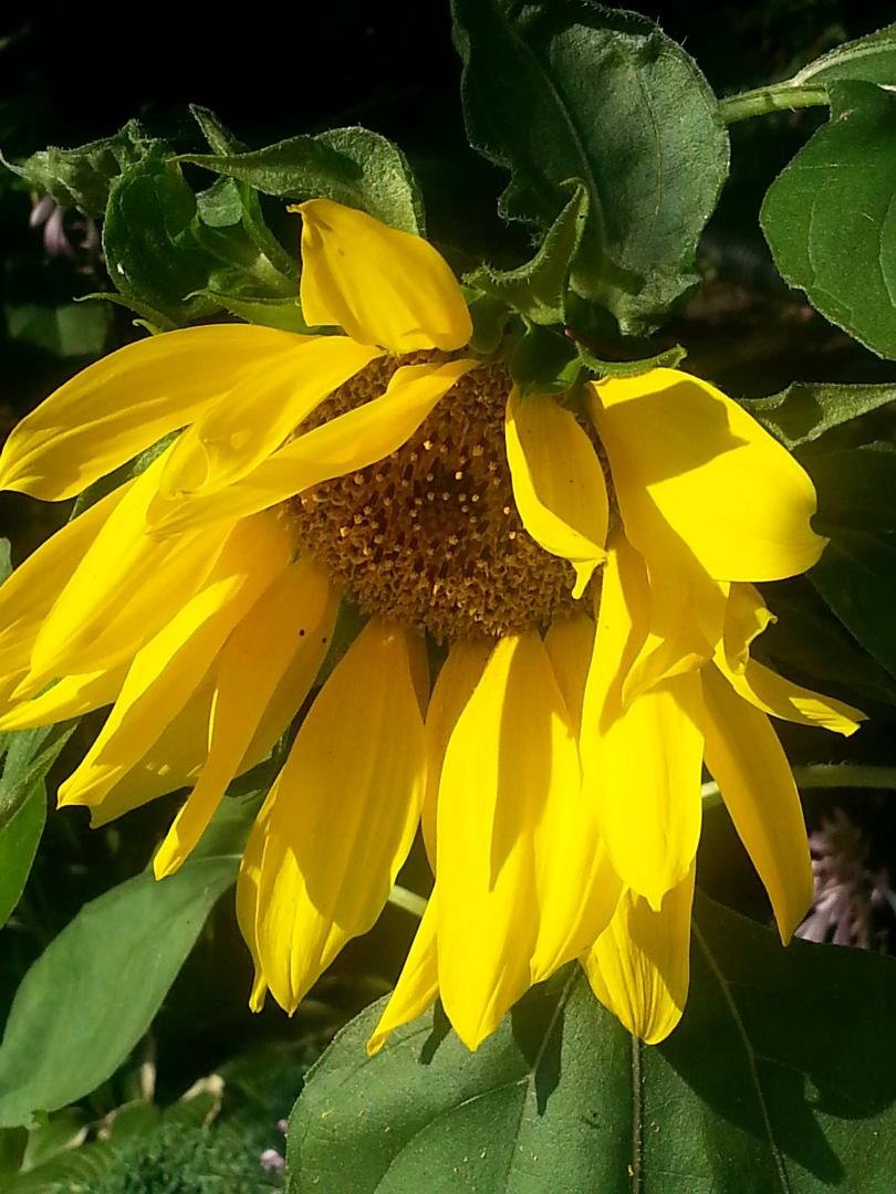 Susan Mallatratt's album, Timeline Photos