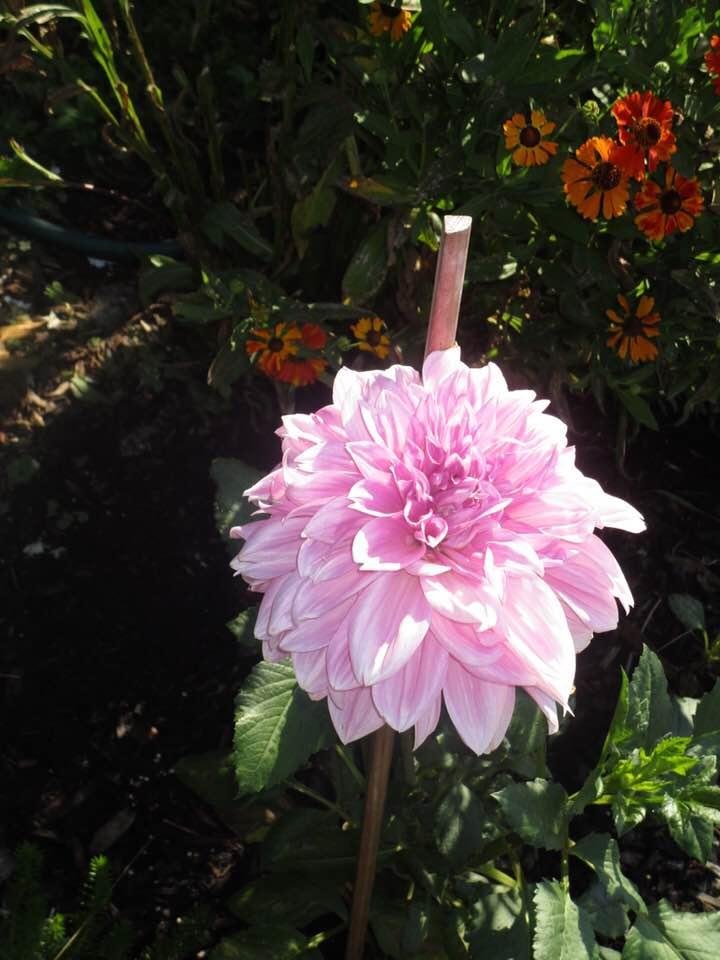 Mary Ahern's album, Timeline Photos