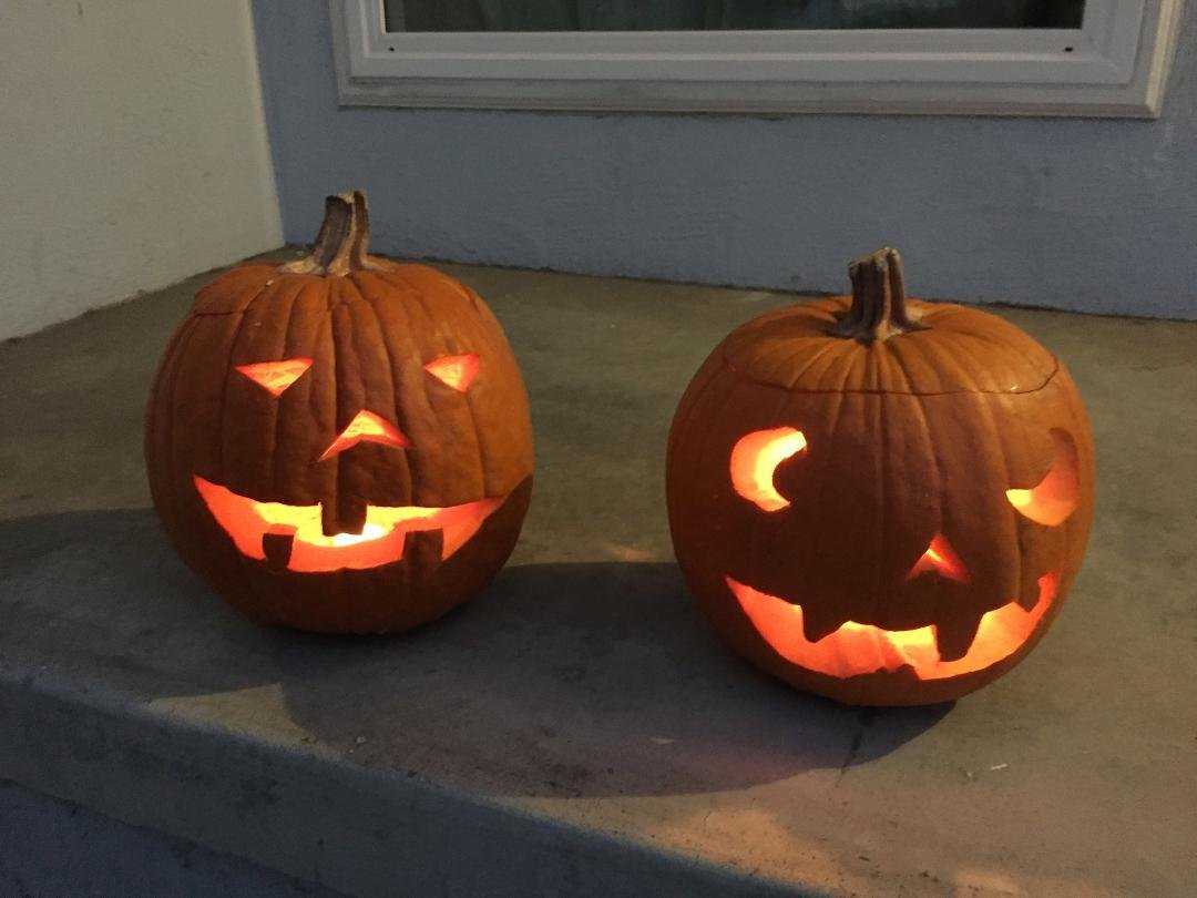This year's pumpkins.