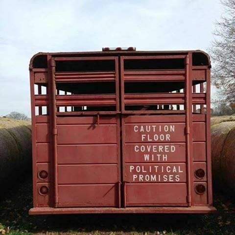Clayton Knapp's album, Timeline Photos