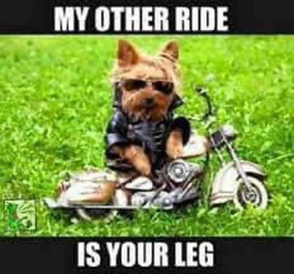 Brad Spotts' album, Timeline photos