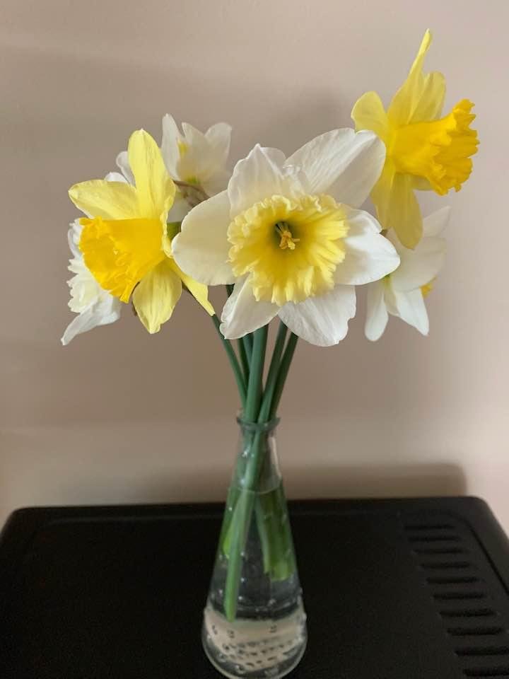 Sure glad I cut some daffodils yesterday before the snow!