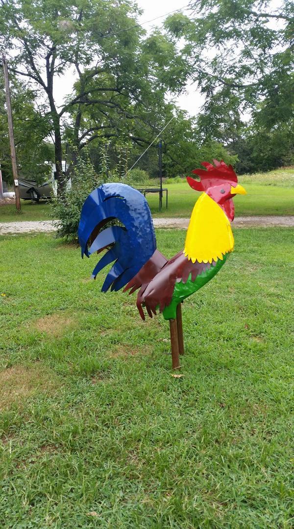 Several months ago I expressed interest in a chicken. My dear wife began the great hunt. She found this specimen rusting and dented and needing help and was able to get a very good price on it. She has spent the past week m