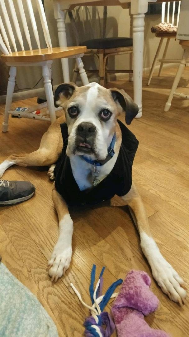 Jerry Mirich's album, Mobile Uploads