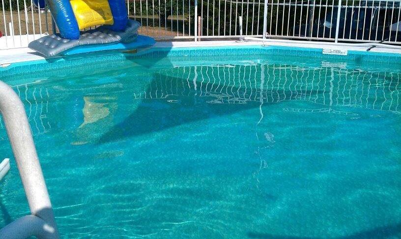 Let's swim