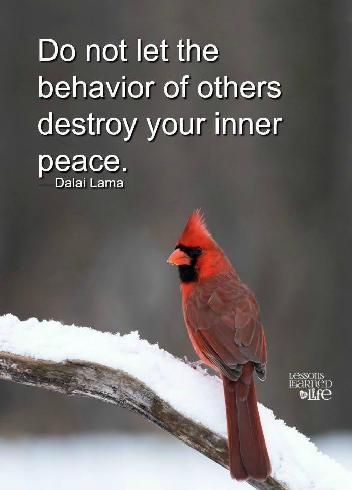 Ann Thomas' album, Timeline Photos