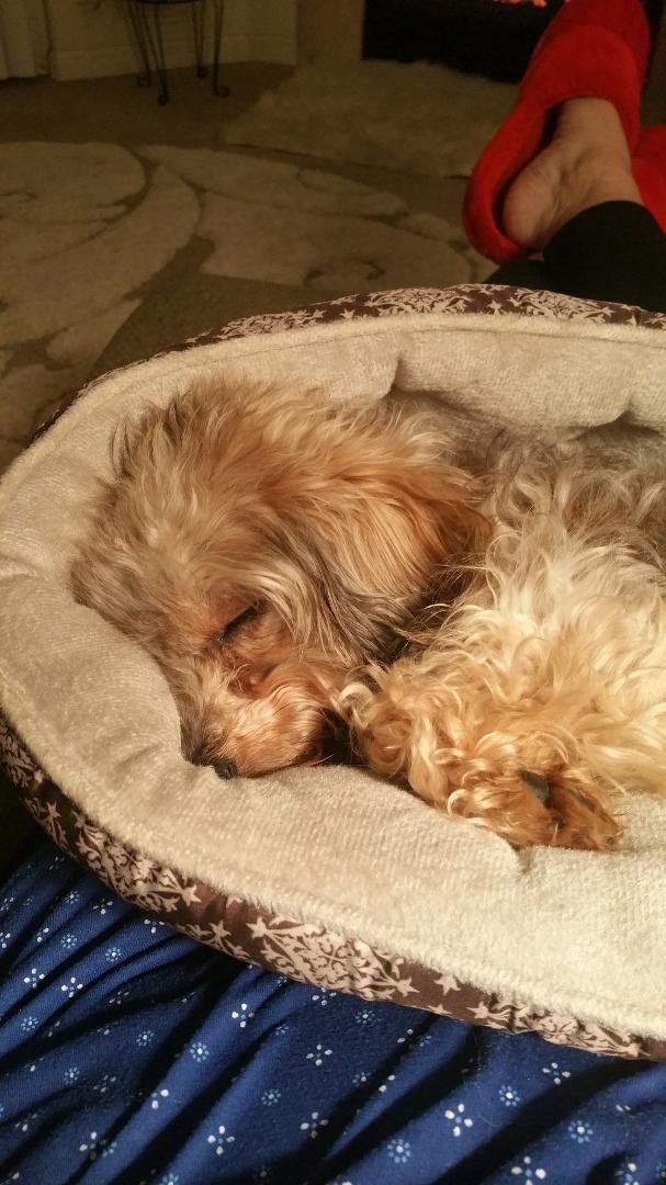 Sleeping beauty