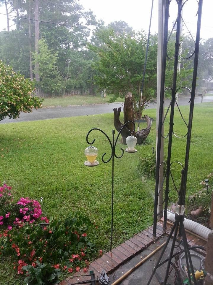 Only in Florida do you water the plants and g really grass by sprinklers and rain....lol