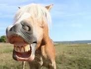 Hoes be like selfie in the morning no edits