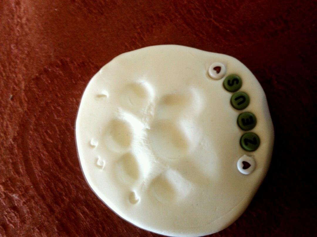 What the vet's crew made for us from Zeus's paw. May you rest on peace my baby, you will be missed!!!