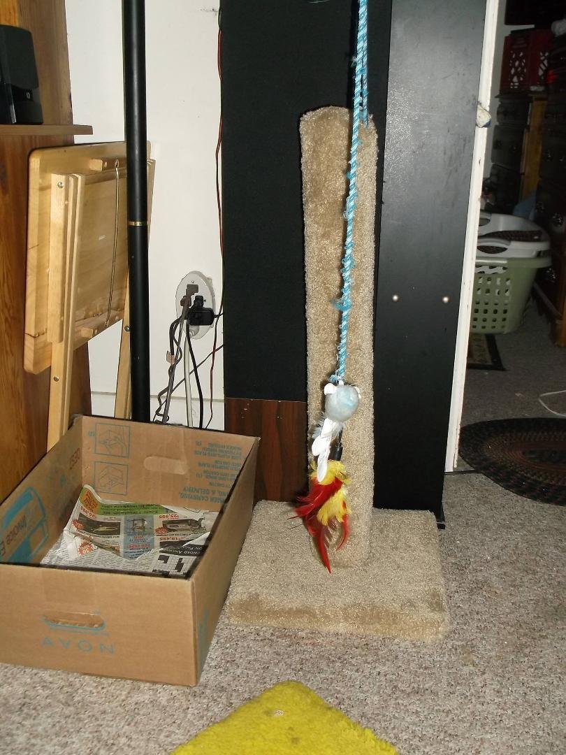The new scratch pole replacement