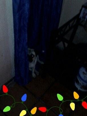 Hiding from Burt, then sneaking in my room to be with me.