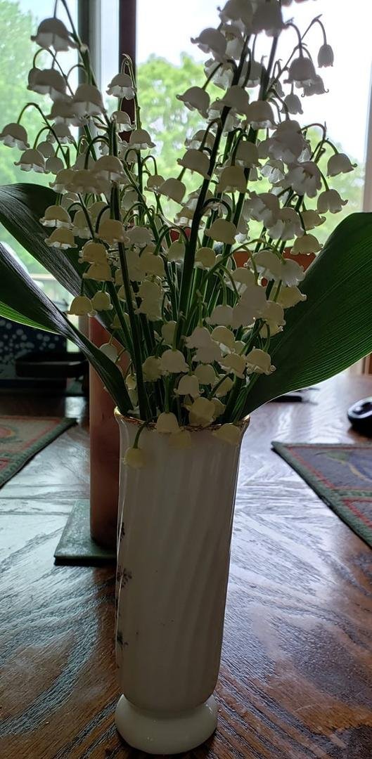 Lois Grassl's album, Timeline photos