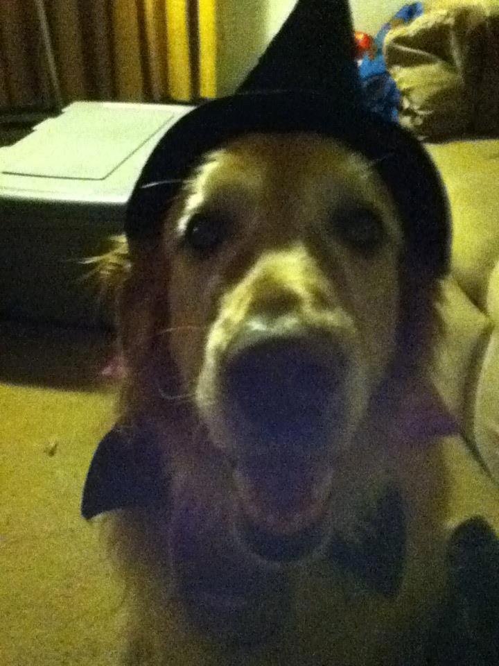 Bailey!!!!