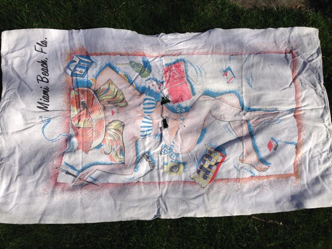 For those of you who have read THE DEVIL AT GENESEE JUNCTION, we’ve located a second towel that fits the criteria of Kathy’s missing towel (woman in bathing suit wearing sombrero). If you have one, please send me a photo. F