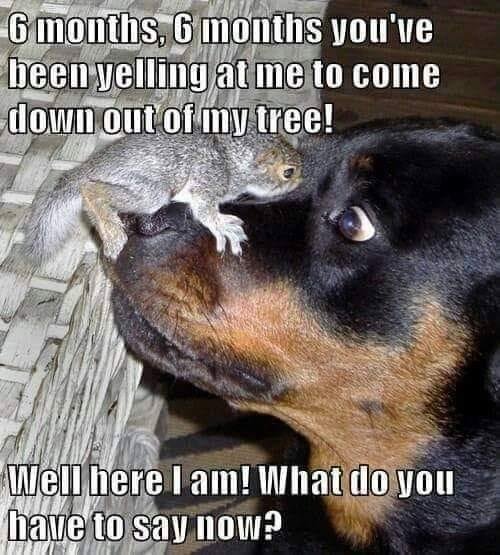 What Now Buddy!!!