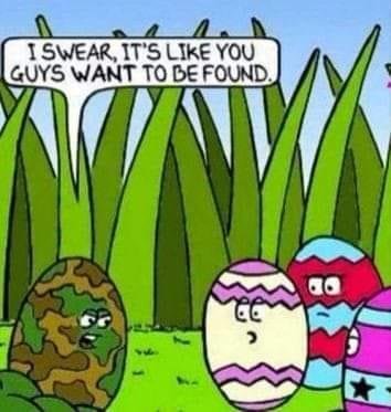 Zach Drill's album, Timeline Photos